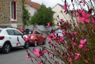 neuilly-plaisance-marche-rose-octobre-2021 8